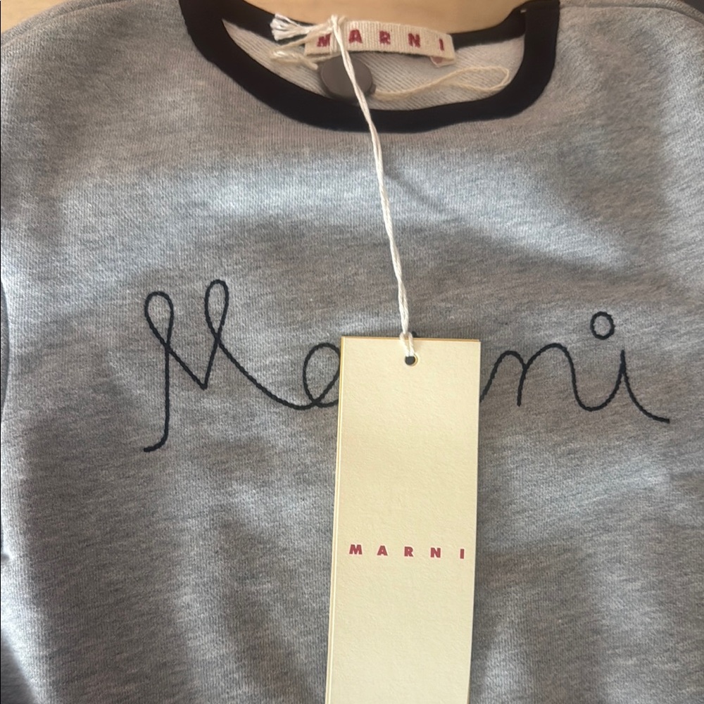 Marni Gray Designer Sweatshirt with Script Logo